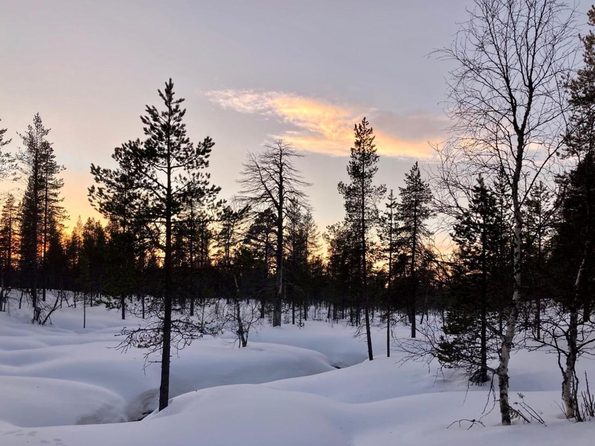 Kuukkeli Log Houses Aurora Cabin - Jaspis Саариселькя Экстерьер фото
